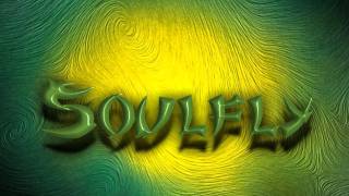 SoulflyRefuseResist [upl. by Aihseit]