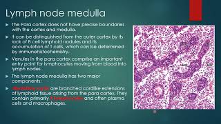 Histology of Lymphoid Tissue Part I [upl. by Tjon340]