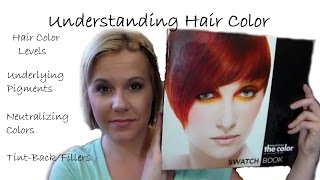 Understanding Hair Color●Levels●Underlying Pigments●Neutralizing●TintBacksFillers [upl. by Baggett]