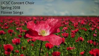 Morten Lauridsen  Les Chansons des Roses [upl. by Ahel]