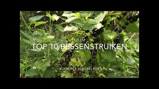 Top 10 bessenstruiken [upl. by Elleoj]