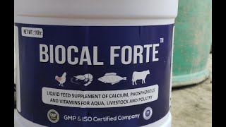 BIOCAL FORTE VETBIOTICVITAMINS MINERALSCa FEED SUPPLEMENTAT SUJAPUR MALDA70017202807865980972 [upl. by Alegnatal]