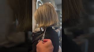 bixie bob pixie cut tricks tips [upl. by Roxanna635]