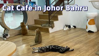 Malaysia Johor Bahru  Chucky Cat Cafe  Komtar JBCC [upl. by Attegroeg]