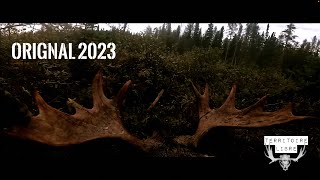 4k  Chasse à lOrignal 2023  TERRITOIRE LIBRE  Zone 28  LacStJean [upl. by Heath684]