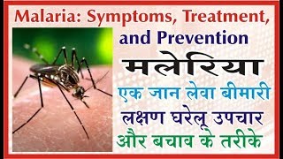 मलेरिया के लक्षण और बचाव घरेलू उपचार Malaria Treatment with Home remedies [upl. by Trinl]