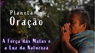 A Força das Matas e a Luz da Natureza  PLANETA EM ORAÇÃO  2103 21h00 [upl. by Nuawed900]