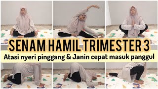 SENAM HAMIL TRIMESTER 3 AGAR JANIN CEPAT MASUK PANGGUL [upl. by Acinorej343]