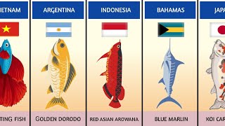 National Fishes from different countries  Comparison [upl. by Abla619]