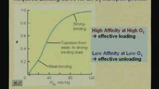 Lecture  12 Myoglobin and Hemoglobin [upl. by Vitek]