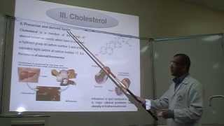 Salkowskis test Part 1 Identification of Cholesterol [upl. by Colton]