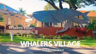 WHALERS VILLAGE VIRTUAL TOUR November 10 2023 [upl. by Gorrian762]