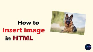 How to insert image in HTML web page using notepad [upl. by Koehler765]