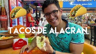 Comiendo tacos de alacrán en el mercado Gómez Palacio  Durango [upl. by Artcele]