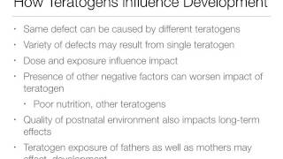 Development 4 2 Prenatal Development Teratogens [upl. by Wehhtam]