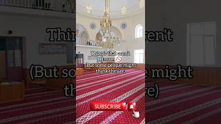 Things that arent Haram 🚫🚫islamicshorts islamicbelief ytshorts haram facts [upl. by Granese]