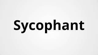 Sycophant  Definition amp Pronunciation  Learn English Vocabulary [upl. by Oliviero]