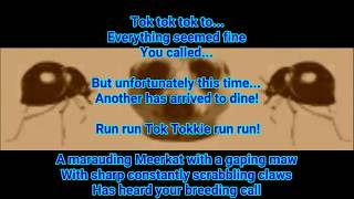 RUN RUN TOK TOKKIE RUN RUN POEM BY GRANT MC ILRATH THE MEERKAT MAN MEERKAT FOOD BEETLE [upl. by Kcir]