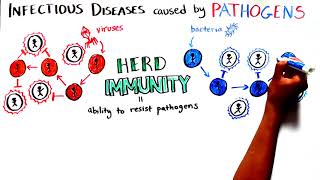 Herd Immunity Understanding COVID19 [upl. by Atinus972]