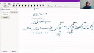 Biosynthesis of Cinnamic Acid Derivatives [upl. by Jenness]