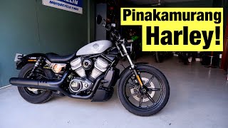 Harley Davidson Nightster  Full Review Sound Check and First Ride [upl. by Emerson]