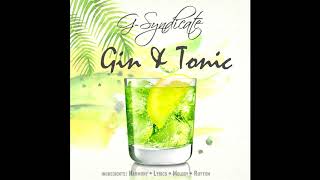 G Syndicate  Gin and Tonic Original [upl. by Mecke]