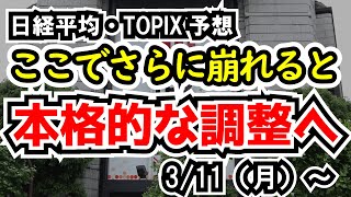 【日経平均・TOPIX】本格調整に入るかの分かれ道、結果が出るのは金曜日【週間日本株予想 2024311～】 [upl. by Brietta]