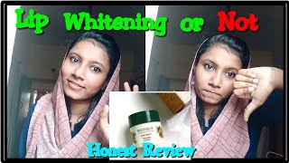 Biotique Bio Fruit Whitening Lip Balm Honest Review Malayalam Review Naziyas World [upl. by Kerby]