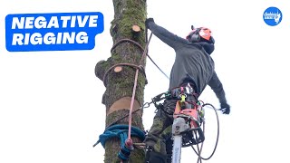 How to rig sections of trunk onto itself  Arborist Rigging techniques [upl. by Alethea355]