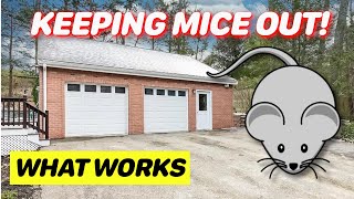 How to Keep Mice Out of Your Garage Or Shed [upl. by Akerboom451]