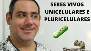 6Âº ANO A DE QUE SÃƒO CONSTITUÃDOS OS SERES VIVO SERES UNICELULARES E PLURICELULARES [upl. by Martinsen825]