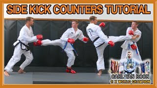 Taekwondo Side Kick Counters How to Defend and Counter  Van Roon Tutorial [upl. by Franky304]