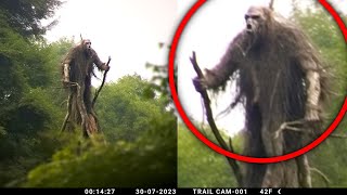 Astounding Trail Cam Evidence That Unmasked Their Existence [upl. by Adnola527]