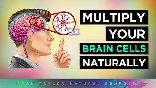 12 Ways To MULTIPLY Your BRAIN CELLS [upl. by Ennasil151]