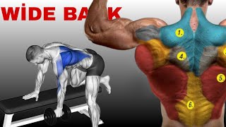 The complete back workout using only dumbbells for wider lats  perfect video [upl. by Titania]