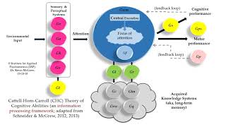 Thurstones PMA amp Crystall Fluid Intelligence Lesson33  CDP for CTET DSSSB KVS UPTET2019 [upl. by Ailito803]