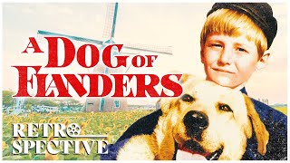 20th Century Fox Classic Family Movie  A Dog Of Flanders 1959 [upl. by Avlem17]