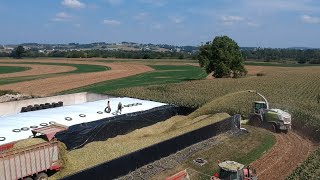 Filling all 3 Bunks in ONE DAY  Corn Silage Harvest 2023 [upl. by Amled624]