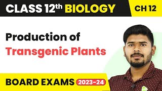 Production of Transgenic Plants  Biotechnology and Its Applications  Class 12 Biology 202223 [upl. by Htabazile]