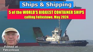 5 of the WORLDS BIGGEST CONTAINER SHIPS calling at Felixstowe during May 2024 [upl. by Ot80]