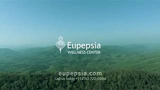 Discover The Eupepsia Wellness Center [upl. by Broddie341]