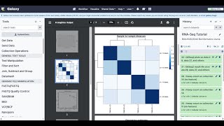 RNA Seq Tutorial [upl. by Laekim]