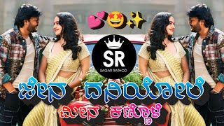 Jena Dvaniyole Mina Kannole  Dwapara Dj Song  Dj Sagar Bijapur Insta Trending Kannada Dj Song [upl. by Vikki]