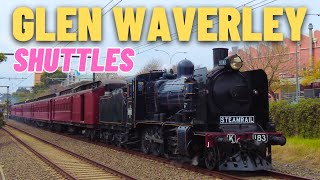 Steamrails RETURN of the Glen Waverley Shuttles 2024 [upl. by Nue]