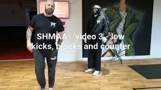 St Helens Martial Arts and Fitness Academy  video 3  Low Kicks blocks and counters [upl. by Narruc]