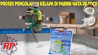 TERNYATA BEGINI PROSES PRODUKSI NATA DE COCO  PROSES PEMANFAATAN KELAPA DI PABRIK [upl. by Esiuol]