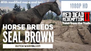 Red Dead Redemption 2 Horse Breeds  Modified Seal Brown Dutch Warmblood  1080p HD PS4 Pro [upl. by Iaw]