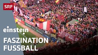 Fussballfieber – warum Goals Fankurven und Steilpässe faszinieren  Einstein  SRF Wissen [upl. by Casilde]