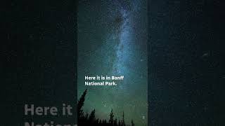 Perseid meteor shower lights up sky in Banff National Park shorts [upl. by Yddor909]