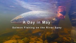 A Day in May  Spring Salmon on the River Spey at Tulchan [upl. by Telrahc]